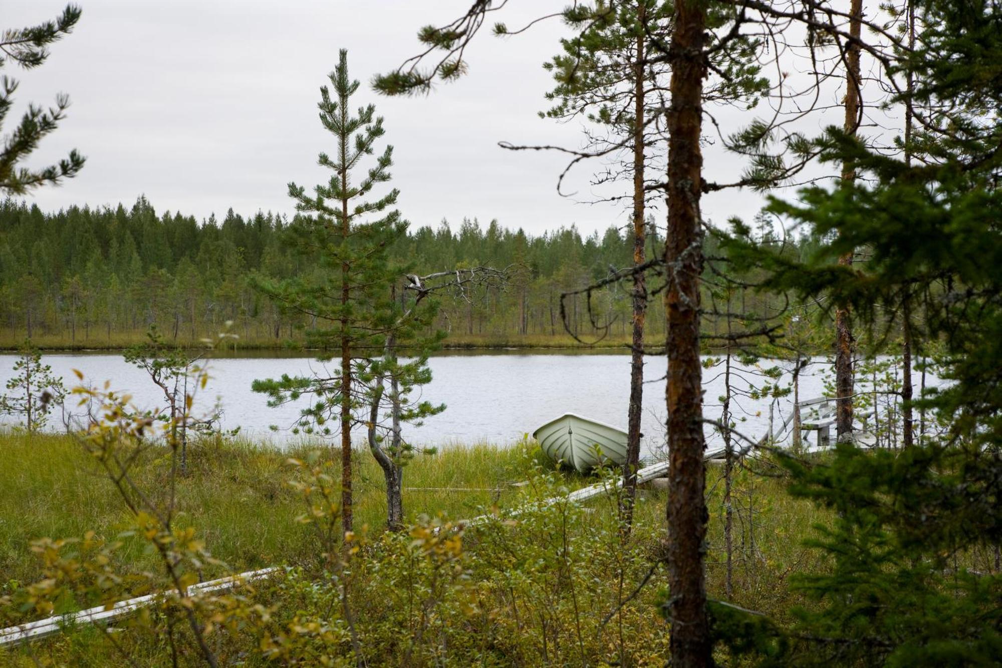 Ukonloma Cottages Rovaniemi Exteriör bild